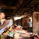 Data collection in Central African Republic a matter of life and death